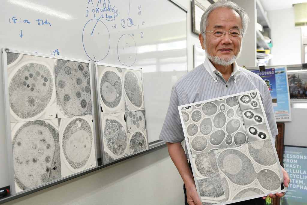 UN NOBEL DIGNO PARA CELEBRAR