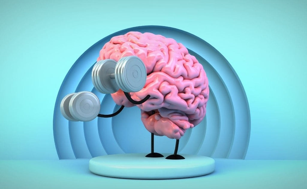 EN BUSCA DE UN CEREBRO SANO