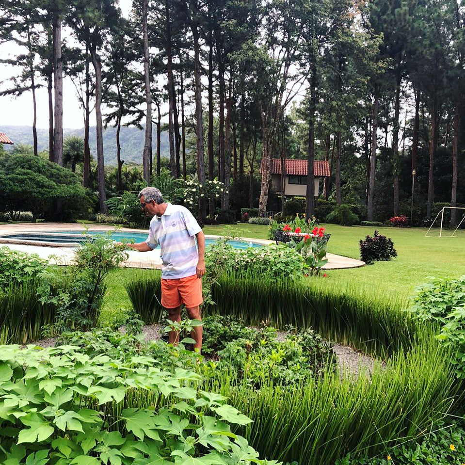 UN HUERTO EN TU HOGAR