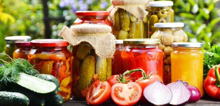 ALIMENTOS FERMENTADOS